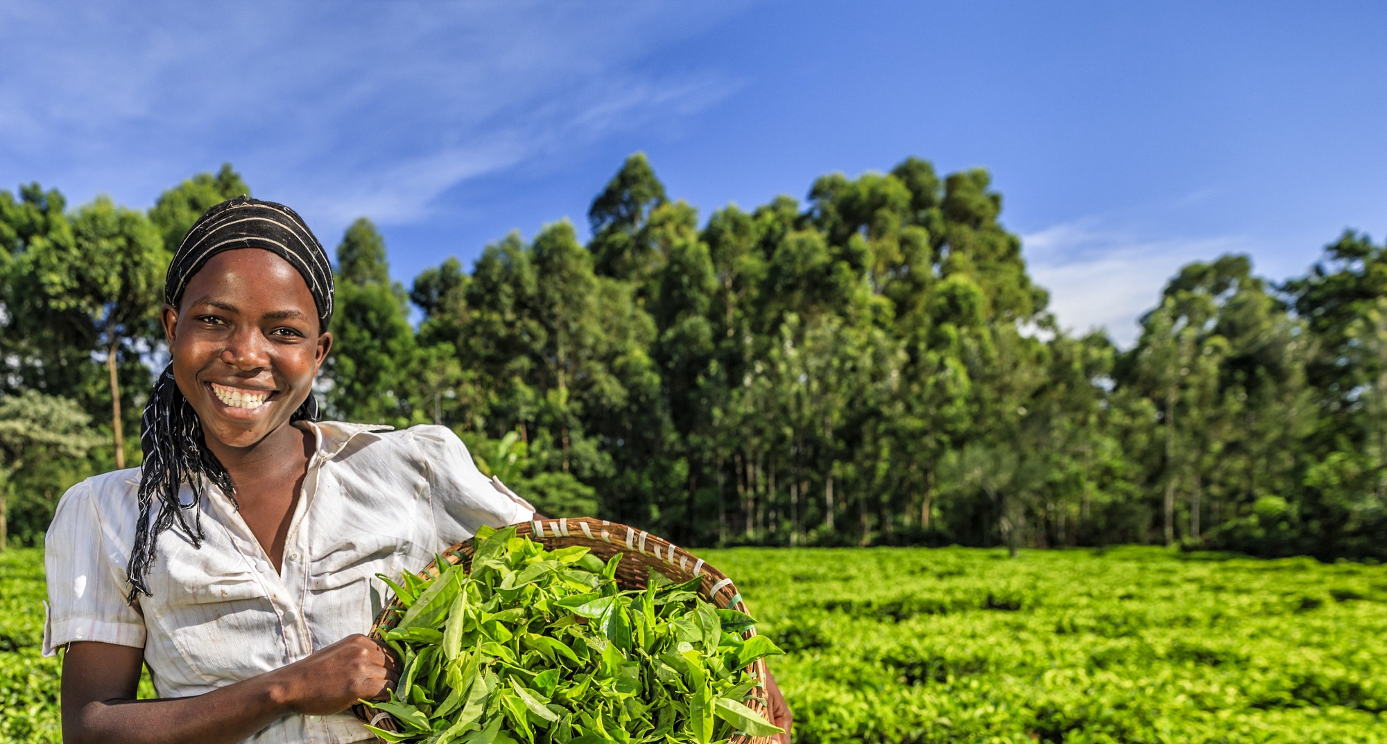 African Development Bank AgriPitch Competition 2022.